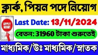 🔥রাজ্যে ক্লার্ক, পিয়ন পদে নিয়োগ | 10th/12th পাস চাকরি | WB Clerk Recruitment 2024 | WB New Job 2024