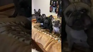 Туристическая поездка