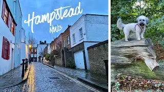 An English Village in the Heart of London