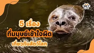 5 เรื่องที่มนุษย์เข้าใจผิดเกี่ยวกับสัตว์โลก | นุดรู้ไหม EP.11