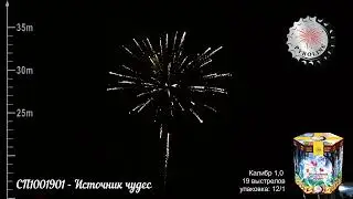 СП1001901   Источник чудес