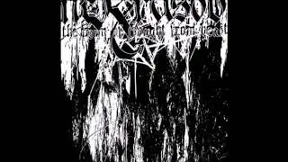 Nekrasov - Mountain Ash