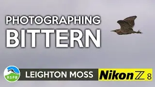Photographing Birds at RSPB Leighton Moss with my Nikon Z8