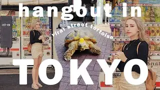WHAT'S THIS TORTOISE DOING IN A JAPANESE STREET?