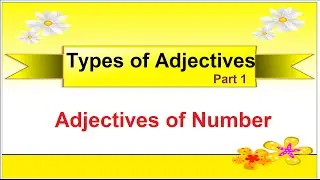 English Grammar:  What are Adjectives of Number - Types of Adjectives - Part 1