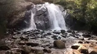 🐺 Лучший сборник чеченских песен для души 🐺