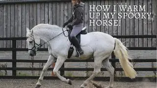 HOW I WARM UP MY SPOOKY DRESSAGE HORSE! / My tips for keeping your horse calm and engaged