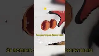 Odcinek o puszkach PAWBOL już na kanale! #shorts #pawbol #short