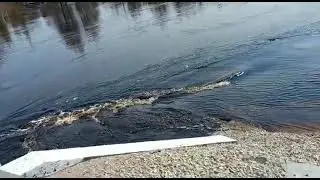 Кэнкэмэ вышла из берегов