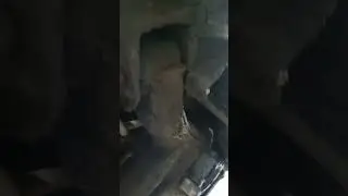 hyundai Solaris такси )))))