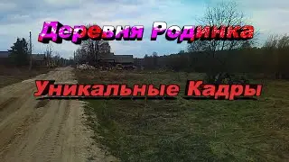 Деревня Родинка Сокольского района Нижегородской области