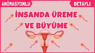İNSANDA ÜREME BÜYÜME VE GELİŞME | 7.SINIF FEN