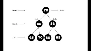 Binary Search Tree | Insert function | Python