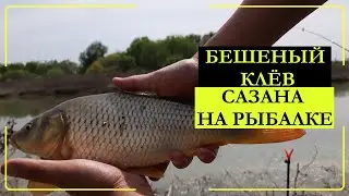 Рыбалка в Узбекистане, чуть не утащил спиннинг