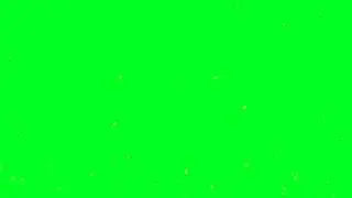 FLUORESCENCE EFFECT PARTICLES GREEN SCREEN