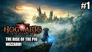 YOU'RE A HAIRY WIZZARD! | Hogwarts Legacy Stream #1