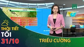 Khu vực miền Tây Nam Bộ, xuất hiện kỳ triều cường đầu tháng 10 (Âm lịch)| VTC14