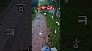 🎵🎶 가을이 오나봐!🍁🍂 I guess fall is coming #가을이 오면 #선선한바람