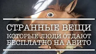 Отдам в дар. Топ 5 странных вещей, которые люди отдают бесплатно на авито.