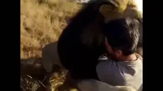 Подборка лучших 2017 видео приколы