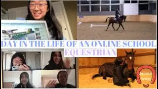 Online High School Day in the Life *Equestrian Edition*