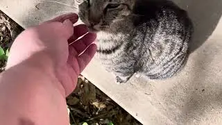 Dakota and Bobbie the cat