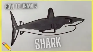 How to draw a Shark 🦈✏️