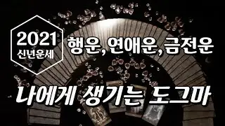 [타로카드/연애운] 나에게 생기는 도그마. 2021년 신년운세. 행운.연애운.금전운