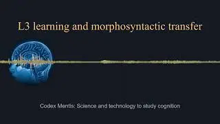 Third language learning and morphosyntactic transfer