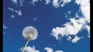 ANJO AZUL - MARQUINHOS MOURA