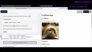 Responsive Web Design - Cat Photo App - 43,44,45