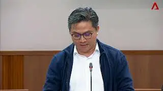 2019/03/08 COS 2019 debate   Day 7 Saktiandi Supaat on foreign exposure for Singapore