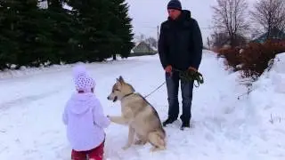 Январская прогулка-наша дружная семья!