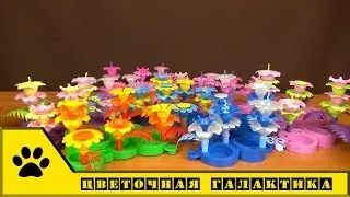 Сделано в России. Биплант - Цветочная Галактика: цветочный конструктор