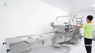 Full Servo Flow Packaging Machine SS-680WS-Samsonpac Packing Machine