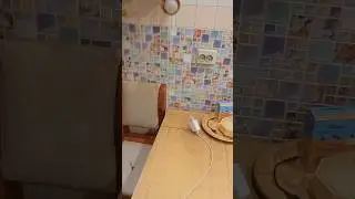 Новая инновация Зарядка сама ищет розетку и прицепляется #halloween #humor #memes #funny #trending