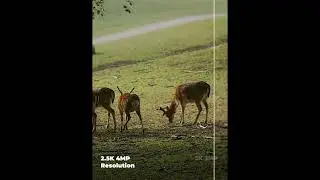 4G Camera Outdoor with SIM Card, 2K 4MP No WiFi Solar Powered, Wireless 360°PTZ