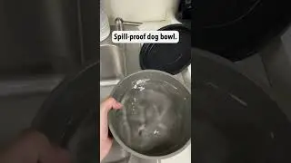 Spill-Proof Dog Bowl