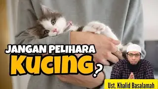 Jangan Pelihara Kucing?! Ust. Khalid Basalamah.