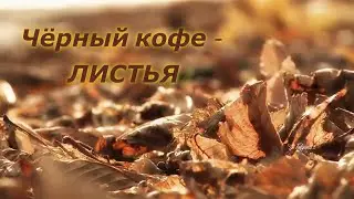 Чёрный кофе  -   Листья