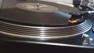 Iggy Pop_MOV_LP_180g_warped record
