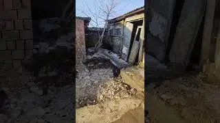 Преображение участка #частныйдом, #дом #купилидом #изквартирывдом #обустраиваем