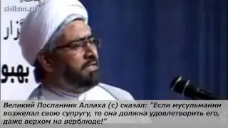 Секс в машине с точки зрения ислама