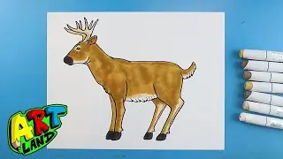 How to Draw a BUCK