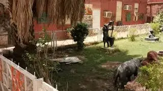 كلية الفنون الجميلة - جامعة السودان للعلوم والتكنولوجيا