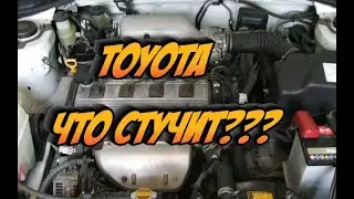 Мотор Тойота (не прогрет). Скажите, что стучит?
