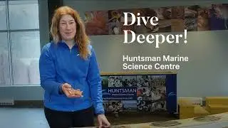 Testimonial: Claire Goodwin, Huntsman Marine Science Centre