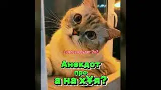 Анекдот про а на куя. 