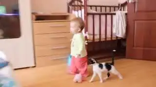 Cat Кот периследует ребенка