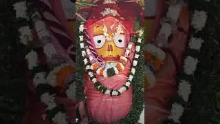 Jagannath Puri Rathyatra 2023 | Where is Jagannath Yatra Celebrated ? 